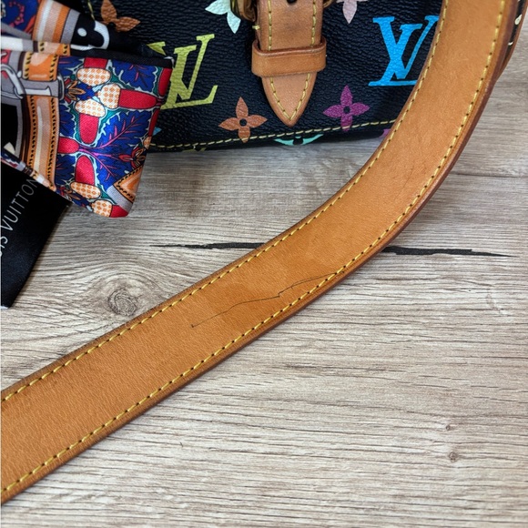 LOUIS VUITTON Multicolor Lodge GM Crossbody - Picture 7 of 16